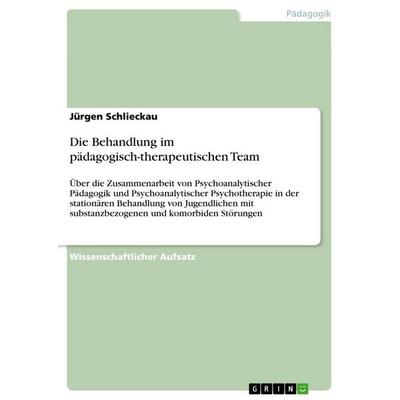 Die Behandlung im pädagogisch-therapeutischen Team, Taschenbuch von Jürgen Schlieckau, GRIN, 978-3-640-79941-1