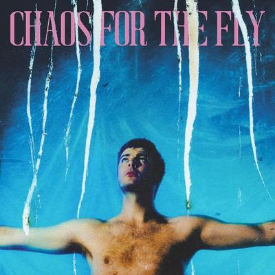 Chaos For The Fly - Grian Chatten, CD