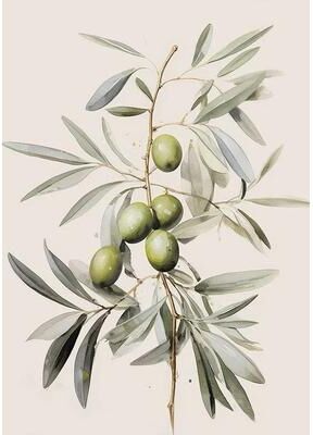 Uplifted Finds Retro Elegant Olive Tree & Lemon Canvas Poster   Vintage Mediterranean Vase Wall Art 2507291243 80 X 120 Cm