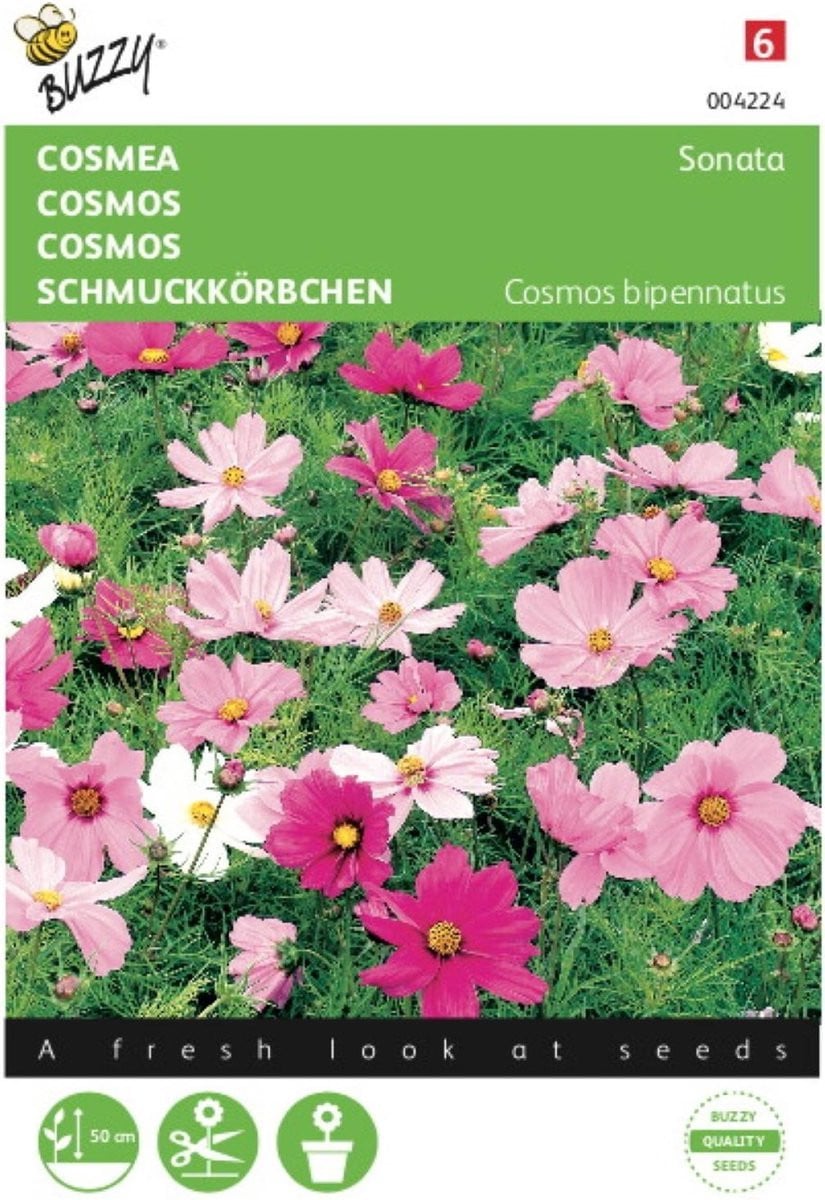 2 stuks Buzzy Cosmea Sonate Gemengd