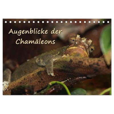 Augenblicke der Chamäleons (Tischkalender 2027 DIN A5 quer), CALVENDO Monatskalender