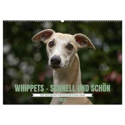 WHIPPETS - SCHNELL UND SCHÖN (Wandkalender 2027 DIN A2 quer), CALVENDO Monatskalender