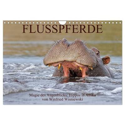 Flusspferde Magie des Augenblicks - Hippos in Afrika (Wandkalender 2027 DIN A4 quer), CALVENDO Monatskalender