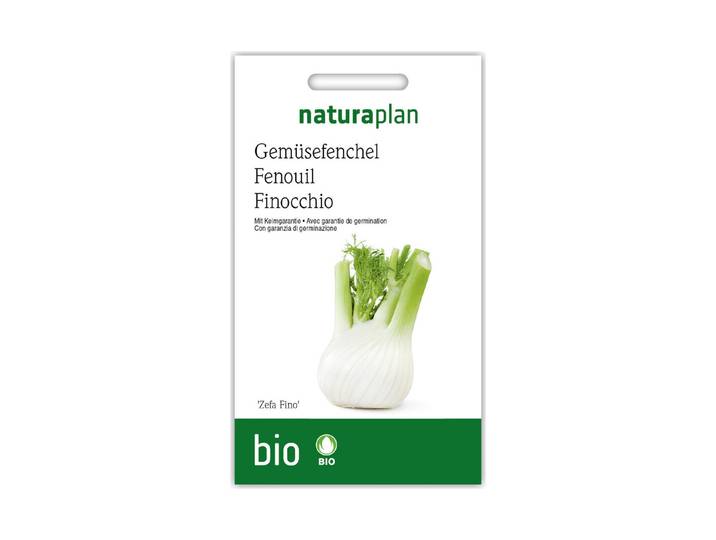 Bio Gemüsefenchel Zefa fino
