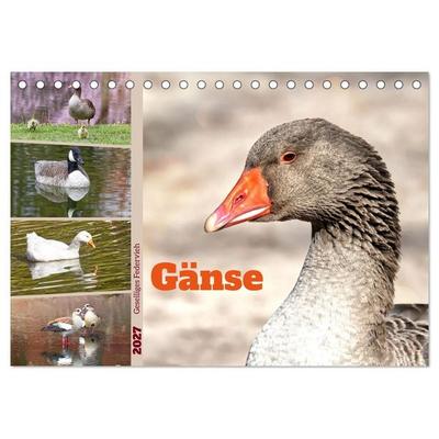 Gänse, geselliges Federvieh (Tischkalender 2027 DIN A5 quer), CALVENDO Monatskalender