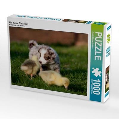 CALVENDO Puzzle Alle meine Gänschen | 1000 Teile Lege-Größe 64x48cm Foto-Puzzle für glückliche Stunden