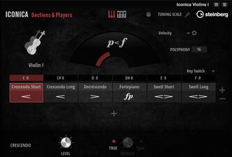 Steinberg Iconica Sections & Players