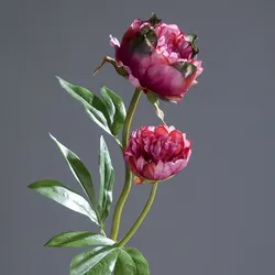 Kunstblume Päonie (H 60 cm) - H 60 cm