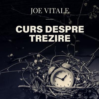 Curs despre trezire - Joe Vitale, Audio, 9789152169131
