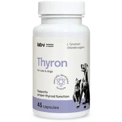 Thyron – Unterstützung der normalen Schilddrüsenfunktion, 45 Kapseln