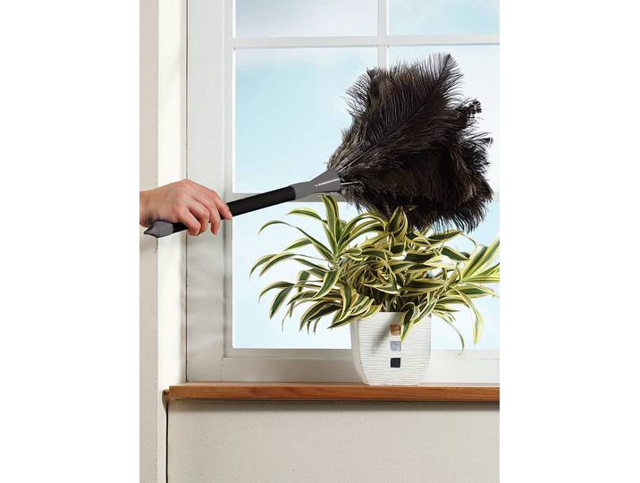 Staubbesen, schwarz, Staubwischer, Staubbesen