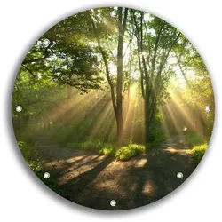 Wallario Gartenposter ca. 60 x 90 cm Weggabelung im Sonnenschein