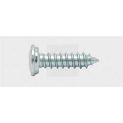 SWG 1030551925 Nummernschild-Schrauben 5.5 mm 19 mm Kreuzschlitz Phillips Stahl verzinkt 100 St.