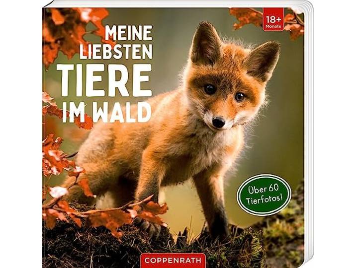 Meine liebsten Tiere im Wald