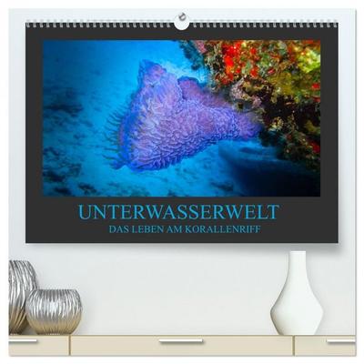 Unterwasserwelt - Das Leben am Korallenriff (hochwertiger Premium Wandkalender 2026 DIN A2 quer), Kunstdruck in Hochglanz