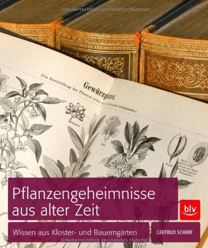 Gertrud Scherf - Pflanzengeheimnisse aus alter Zeit: Wissen aus Kloster- und Bauerngärten - Preis vom 30.09.2026 22:30:23 h