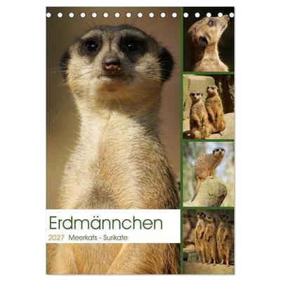 Erdmännchen-Meerkats-Surikate (Tischkalender 2027 DIN A5 hoch), CALVENDO Monatskalender