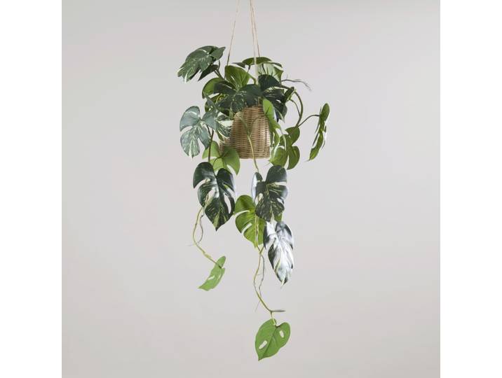 Künstliche Hänge-Monstera in einem Rattantopf