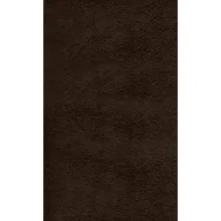 HOCHFLORTEPPICH Antirutsch Uni ALDAN Polyester Braun 140 x 200 cm