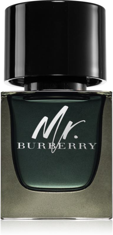 Burberry Mr. Burberry Eau de Parfum pour homme 50 ml