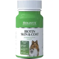 HOLISTA Biotin Skin & Coat 90 Tabletten zur Unterstützung des Haarkleides und der Haut