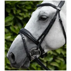 Premier Equine, Zaumzeug