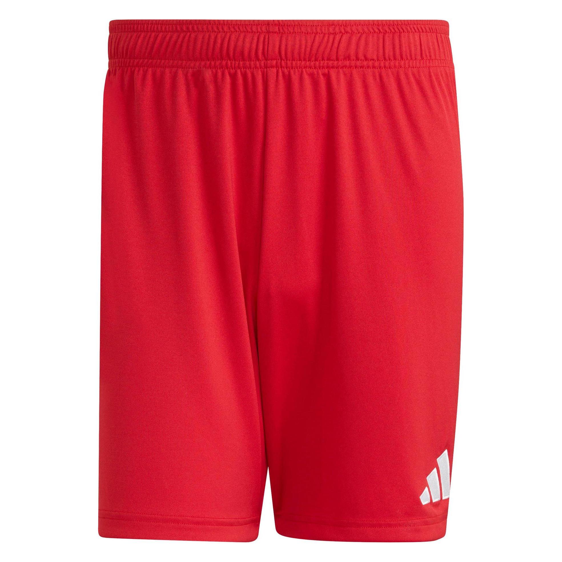 Adidas Entrada Shorts (S) (JZ2517)