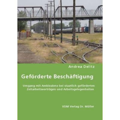 Geförderte Beschäftigung, Taschenbuch von Andrea Delitz, VDM, 978-3-8364-6060-6