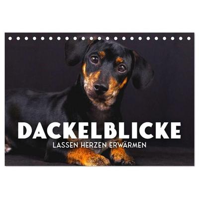 Dackelblicke - Lassen Herzen erwärmen. (Tischkalender 2027 DIN A5 quer), CALVENDO Monatskalender