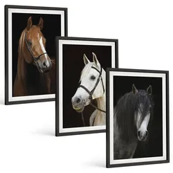 BILDER SET 3er Set - 40x60 cm Schwarzer Rahmen - Porträts von Pferden in verschiedenen Fellfarben