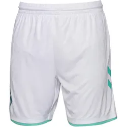 hummel SV Werder Bremen Auswärtsshorts 2023/24 9001 - white M