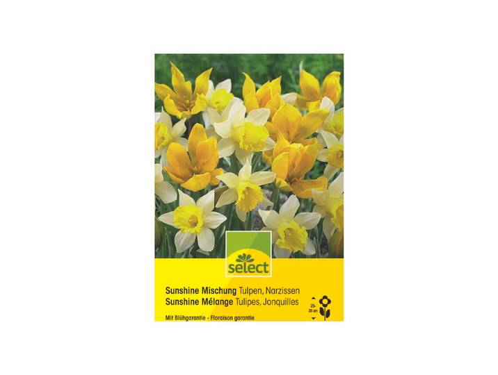 Select Blumenzwiebel SunshineMischung