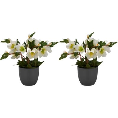 Kunstblume CREATIV GREEN "Christrose", weiß, H:23cm, Polyester, Kunstpflanzen, mit üppiger Blütenpracht