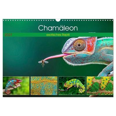 Chamäleon - exotisches Reptil (Wandkalender 2027 DIN A3 quer), CALVENDO Monatskalender