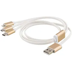 Deltaco USB-MULTI10 USB Kabel 1 m USB A USB C Gold (1 m), USB Kabel