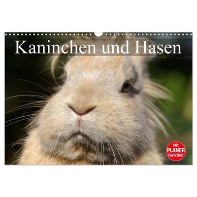 Kaninchen und Hasen (Wandkalender 2026 DIN A3 quer), CALVENDO Monatskalender