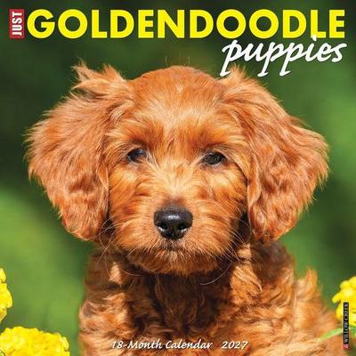 Goldendoodle Puppies 2027 12 X 12 Wall Calendar