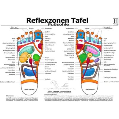 Fussreflexzonen Tafel - Fusssohle - A3 (laminiert), Sonstige von , Hawelka, Uwe, 978-3-939378-27-3