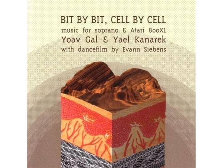 Bit by Bit Cell by Cell