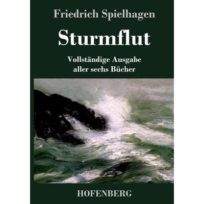 Sturmflut, Gebundene Ausgabe von Friedrich Spielhagen, Hofenberg, 978-3-8430-7382-0
