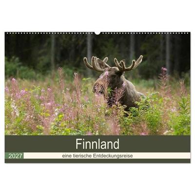 Finnland: eine tierische Entdeckungsreise (Wandkalender 2027 DIN A2 quer), CALVENDO Monatskalender