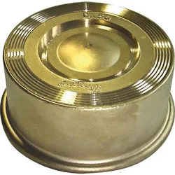 Reiche Rückschlagventil TCF-M DN65 PN6/10/16 Messing