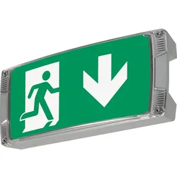 Ceag Notlichtsysteme Piktogramm 40071355453