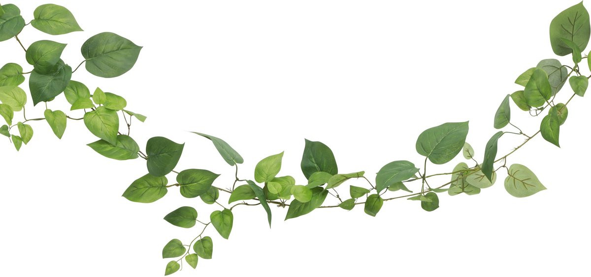 Chaks Kunstplant Klimop Pothos Slinger - Groen - 180 cm