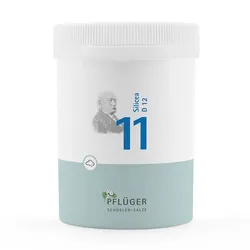 BIOCHEMIE Pflüger 11 Silicea D 12 Pulver 250 g
