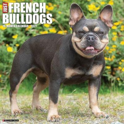 French Bulldogs 2027 12 X 12 Wall Calendar