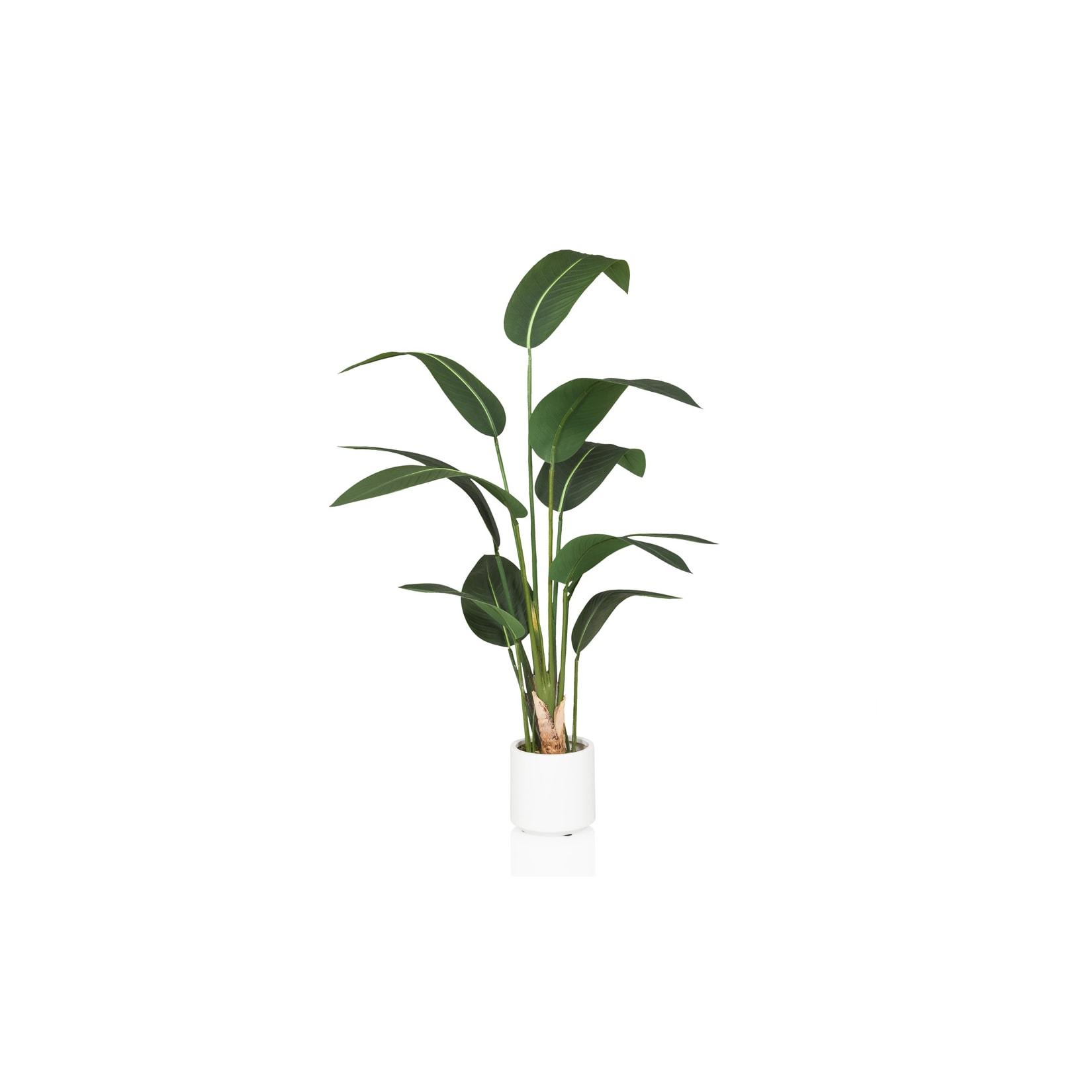 hjh OFFICE Kunstpflanze STRELITZIA Kunststoff