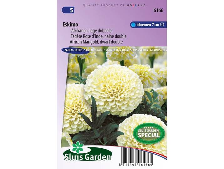 Tagetes Patula zaden erecta Eskimo afrikaan
