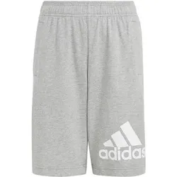 ADIDAS Kinder Shorts Essentials Big Logo Cotton, Größe 152 in Silber Silber