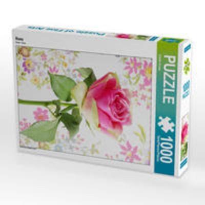 CALVENDO Puzzle Rose | 1000 Teile Lege-Größe 64x48cm Foto-Puzzle für glückliche Stunden
